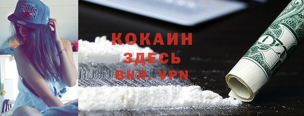 apvp Богородицк