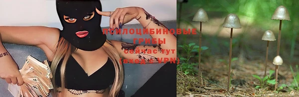 apvp Богородицк