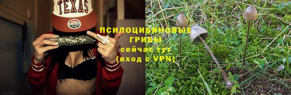 гидропоника Бугульма