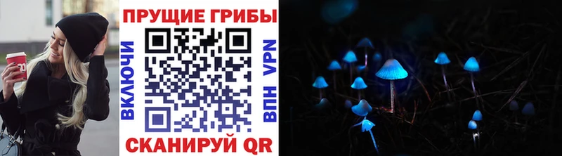 Галлюциногенные грибы Psilocybine cubensis  сколько стоит  Ангарск 